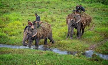 chitwan-jungle-safari-tour